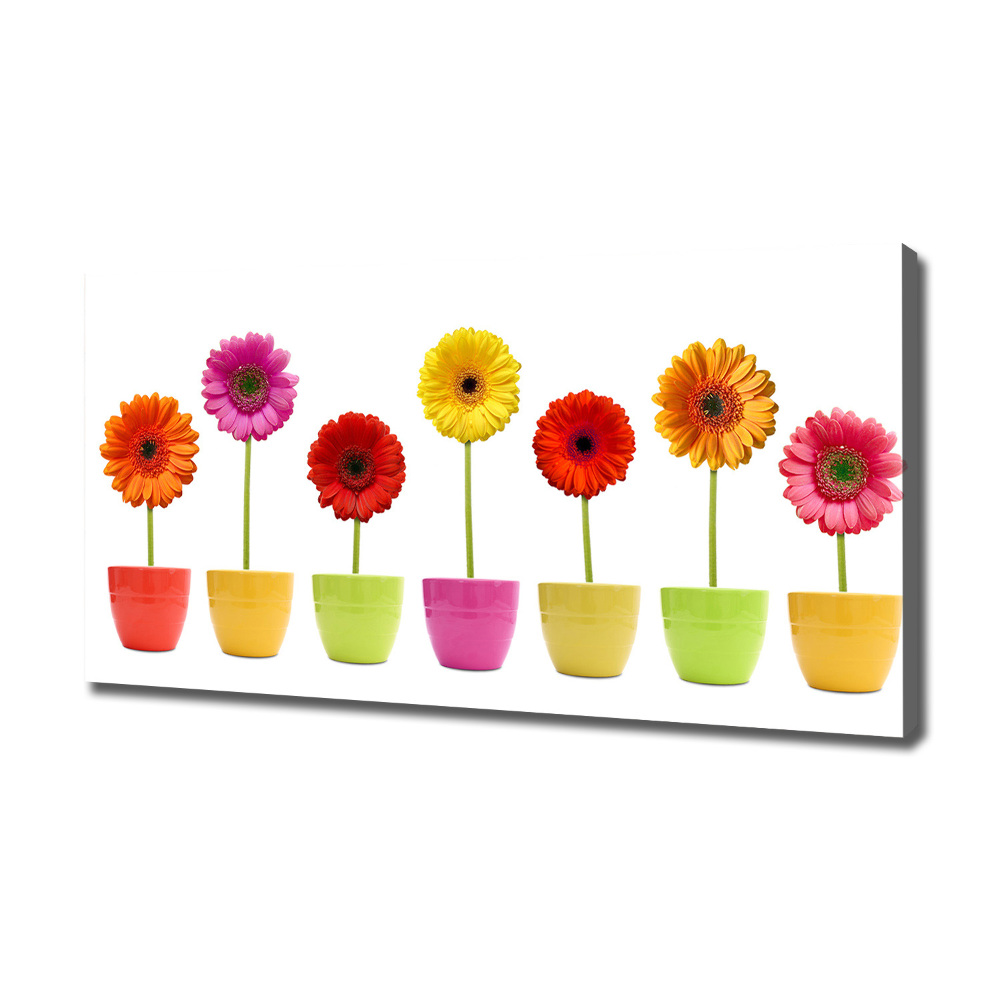 Tableau toile imprimée Gerberas colorés