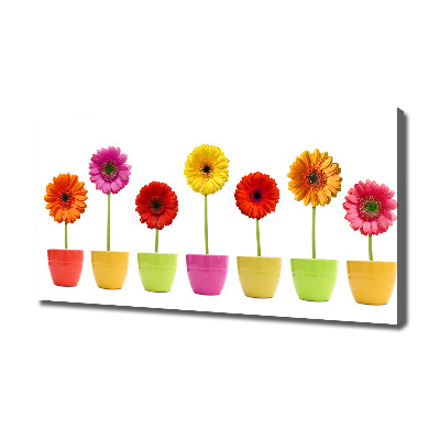 Tableau toile imprimée Gerberas colorés