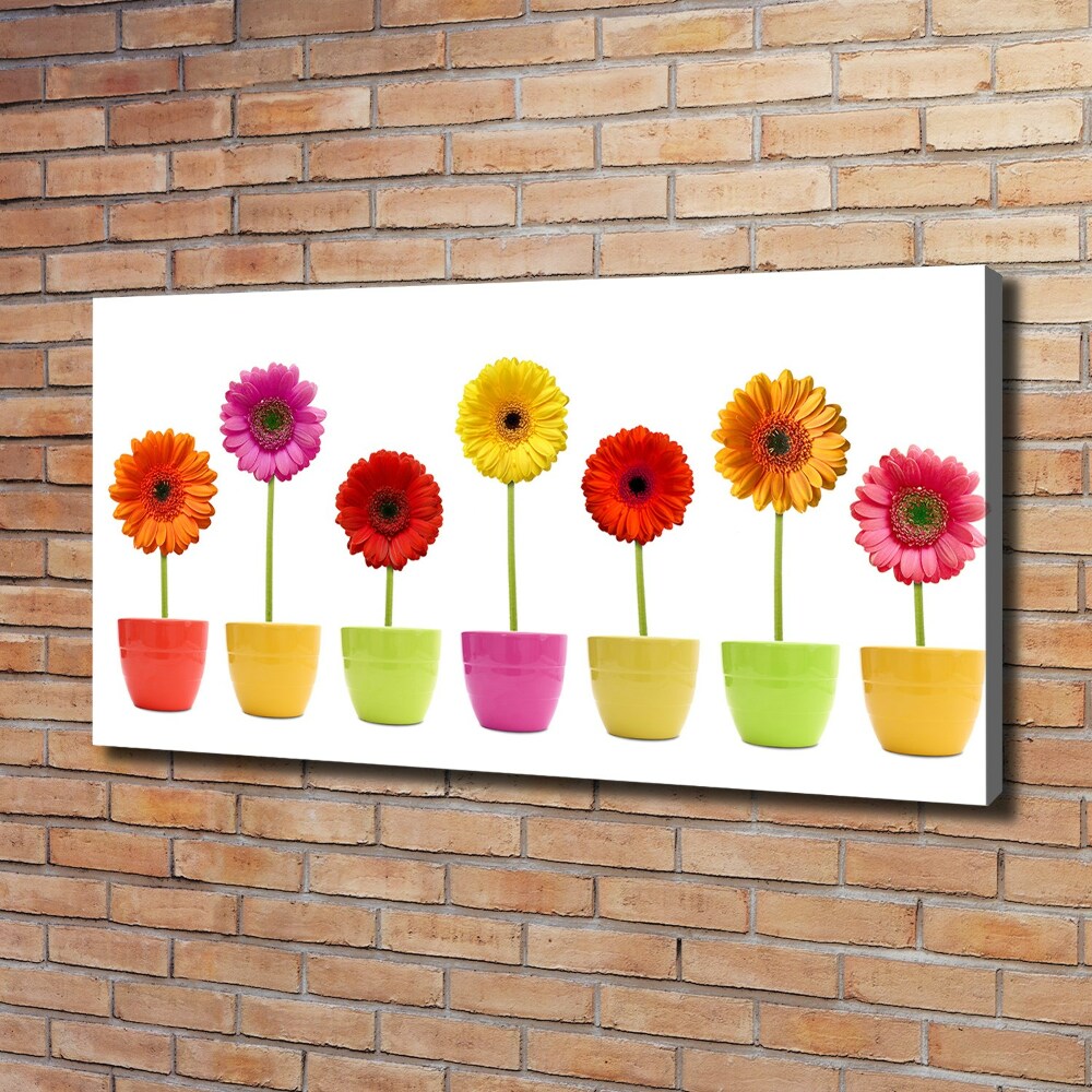 Tableau toile imprimée Gerberas colorés