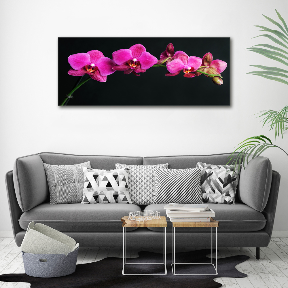 Tableau sur toile Fleur de l'orchidée