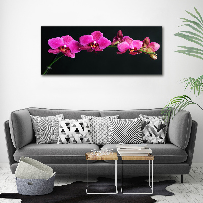 Tableau sur toile Fleur de l'orchidée