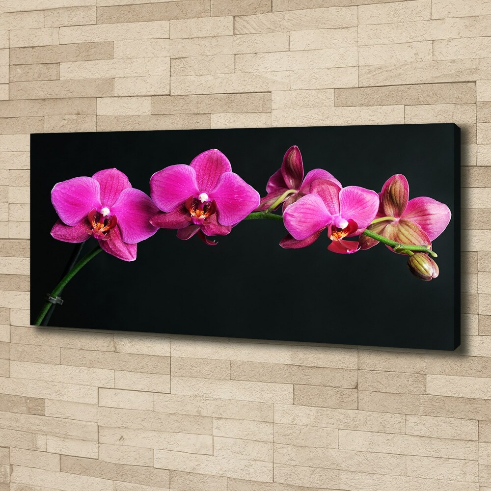 Tableau sur toile Fleur de l'orchidée