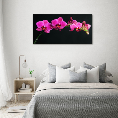 Tableau sur toile Fleur de l'orchidée