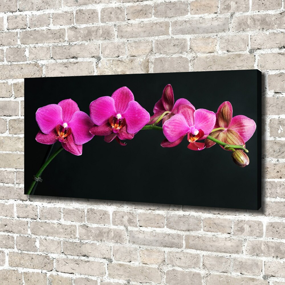 Tableau sur toile Fleur de l'orchidée