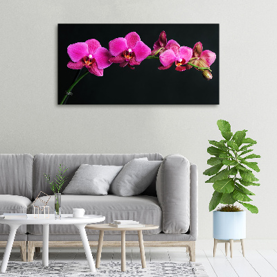 Tableau sur toile Fleur de l'orchidée