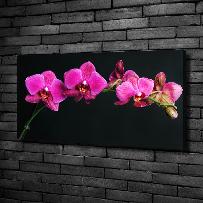 Tableau sur toile Fleur de l'orchidée