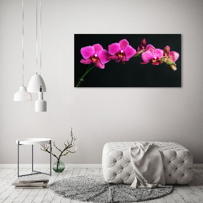 Tableau sur toile Fleur de l'orchidée