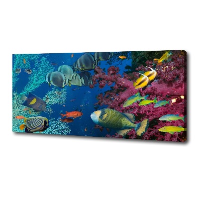 Tableau photo sur toile Récif de corail