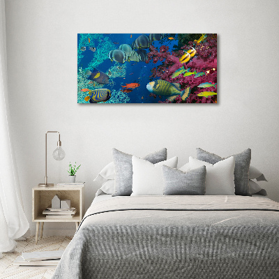 Tableau photo sur toile Récif de corail