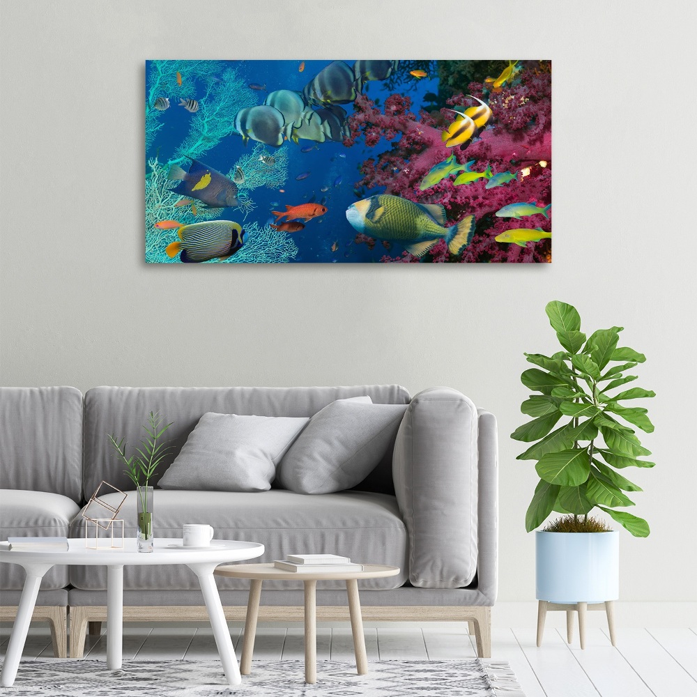 Tableau photo sur toile Récif de corail