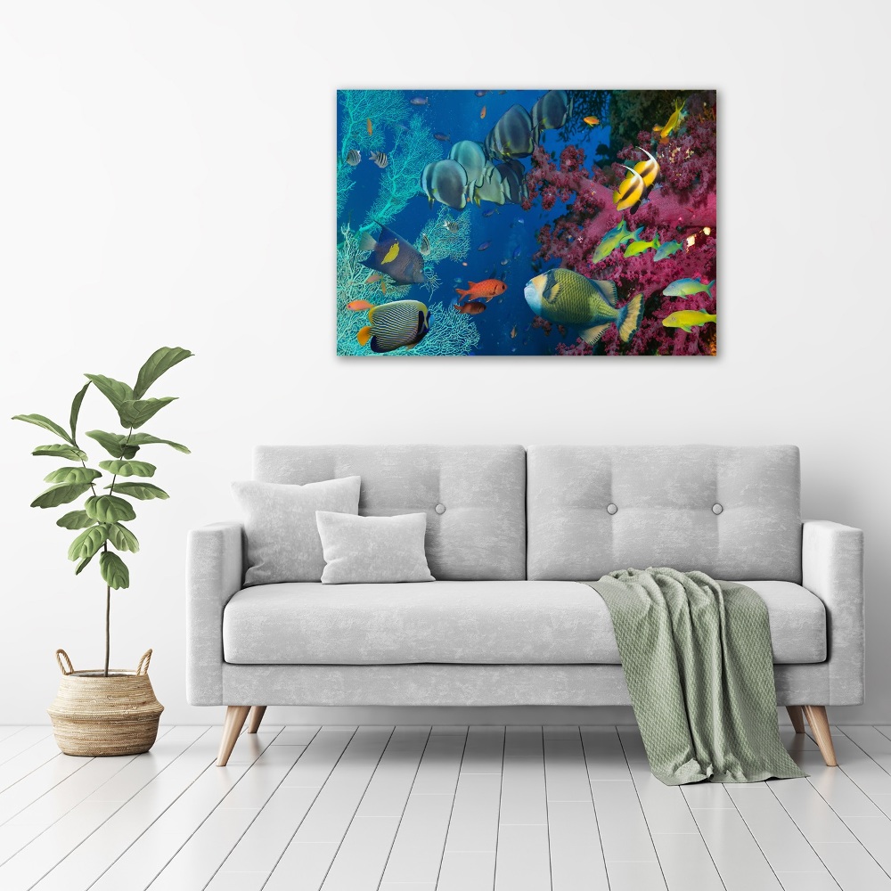 Tableau photo sur toile Récif de corail