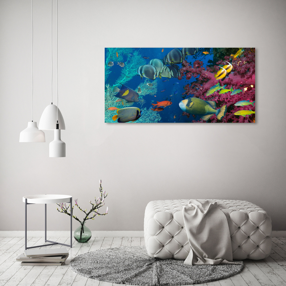 Tableau photo sur toile Récif de corail