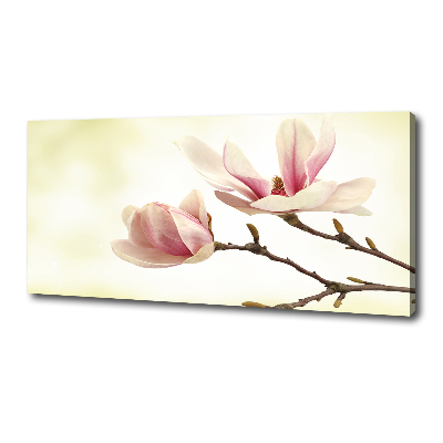 Tableau mural sur toile Magnolia