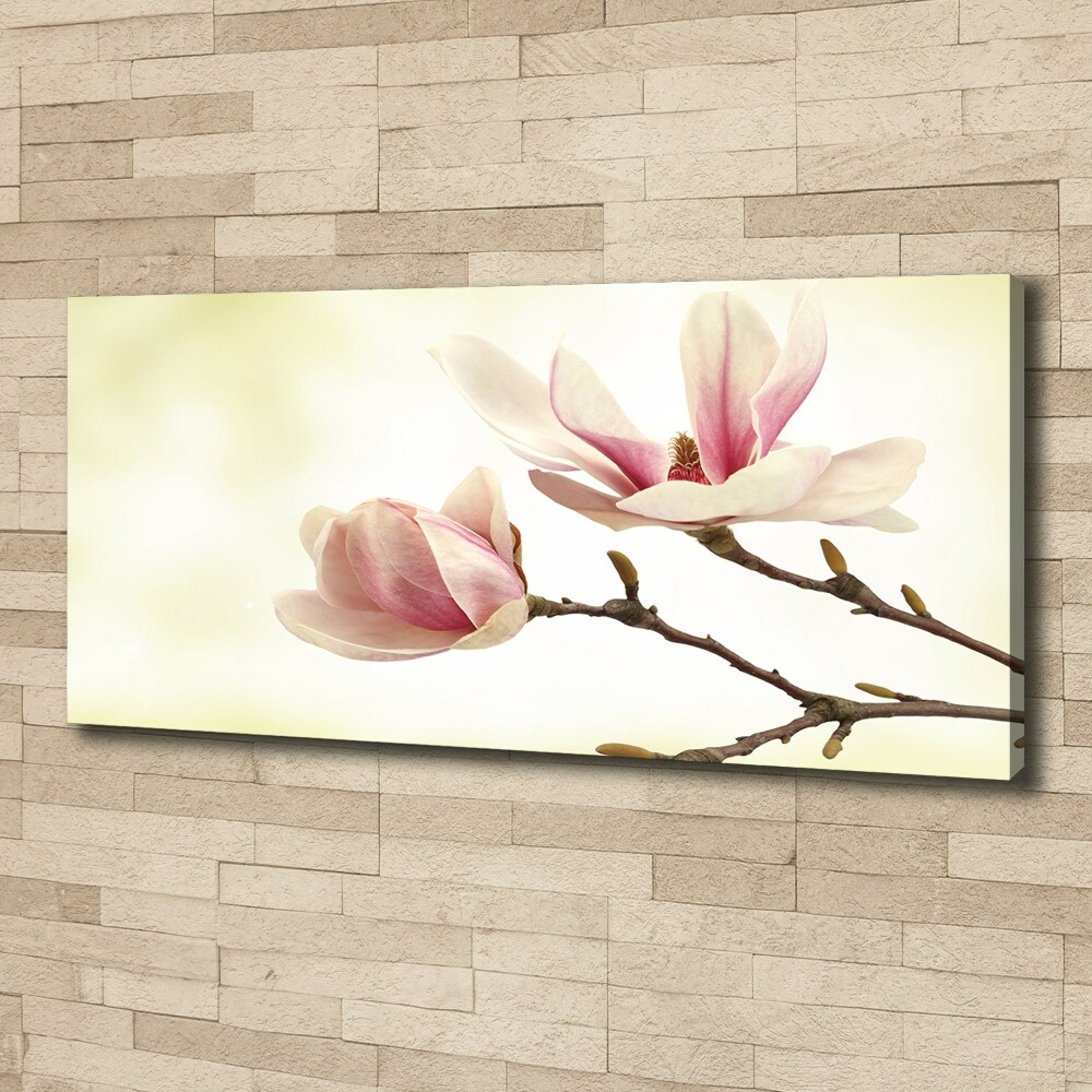 Tableau mural sur toile Magnolia