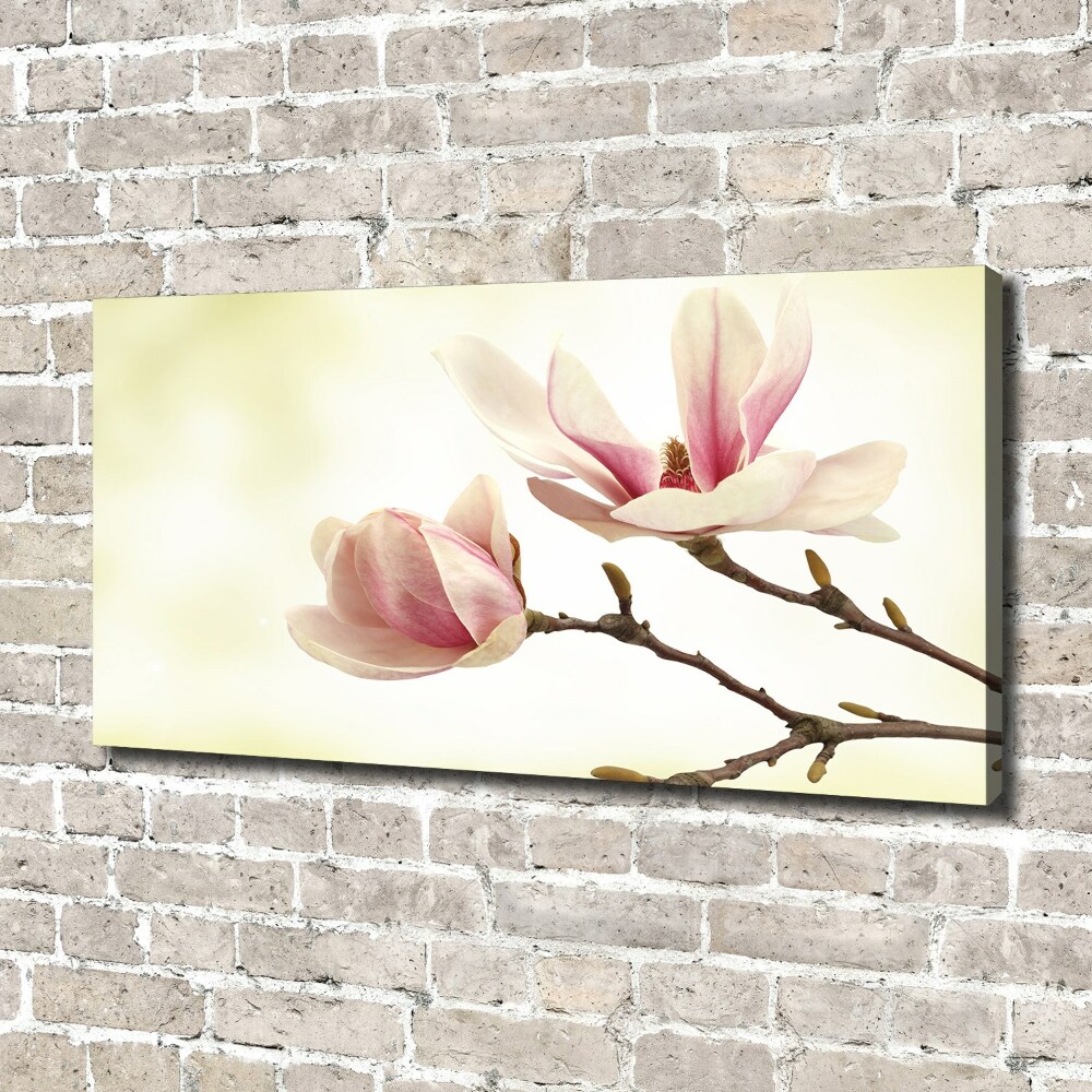 Tableau mural sur toile Magnolia