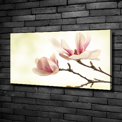 Tableau mural sur toile Magnolia