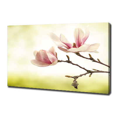 Tableau mural sur toile Magnolia