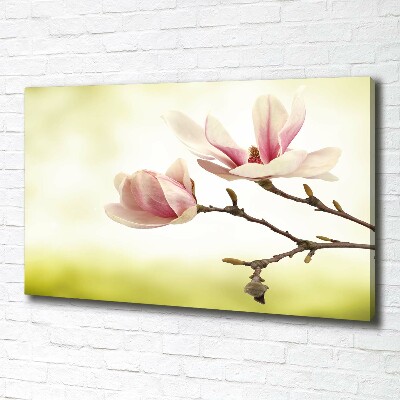 Tableau mural sur toile Magnolia