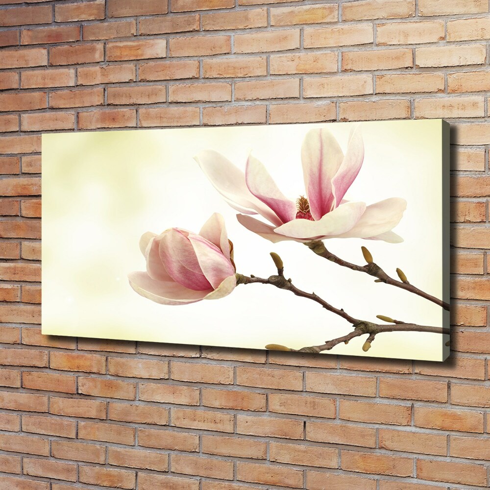 Tableau mural sur toile Magnolia