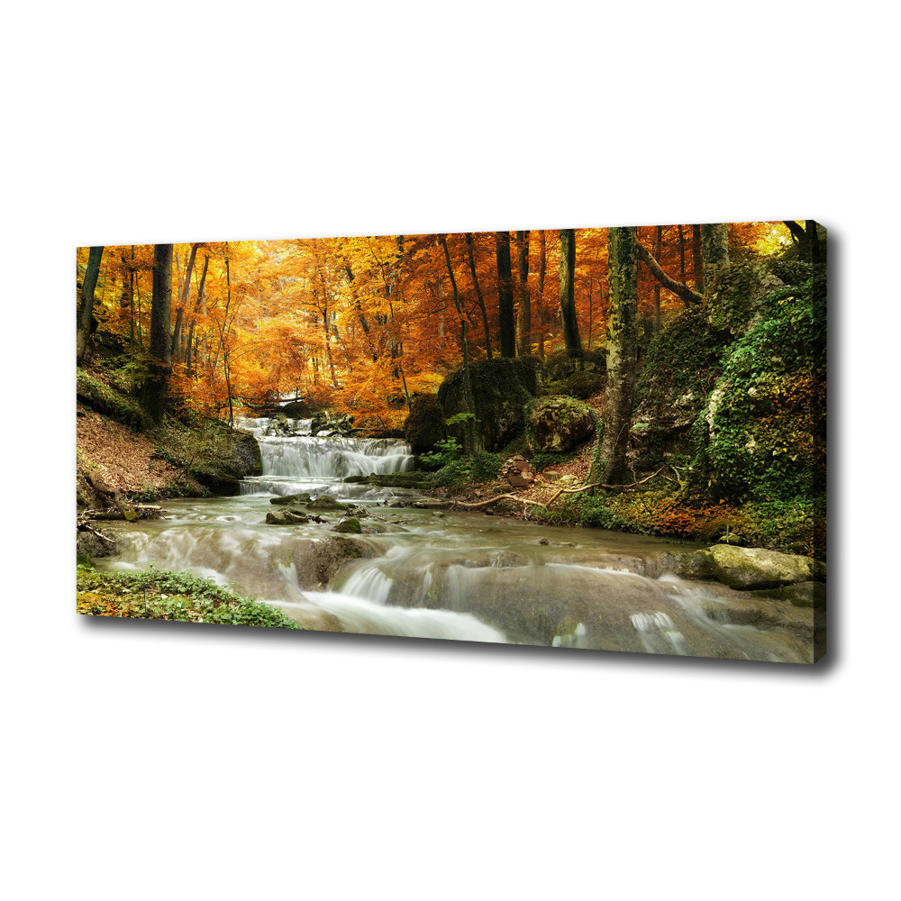 Tableau imprimé sur toile Cascade en forêt