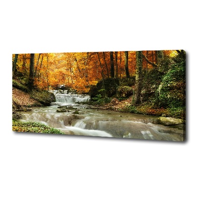 Tableau imprimé sur toile Cascade en forêt