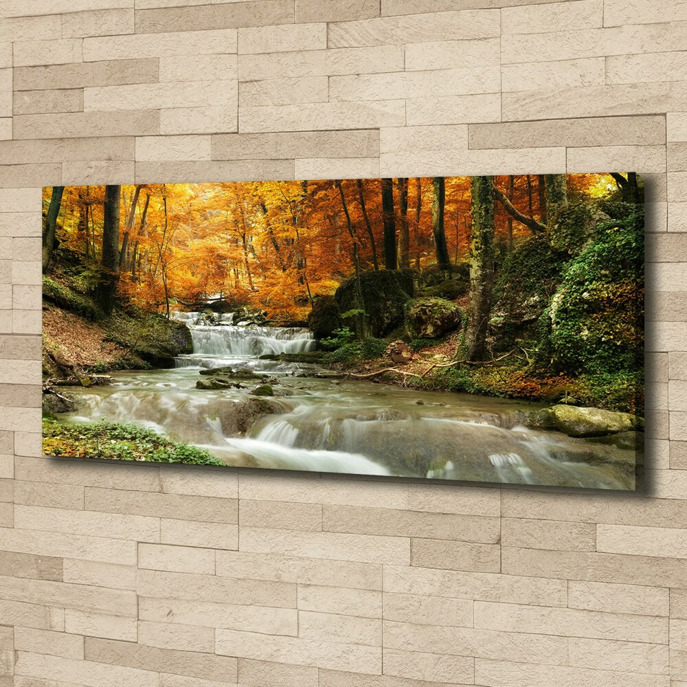 Tableau imprimé sur toile Cascade en forêt