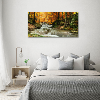 Tableau imprimé sur toile Cascade en forêt