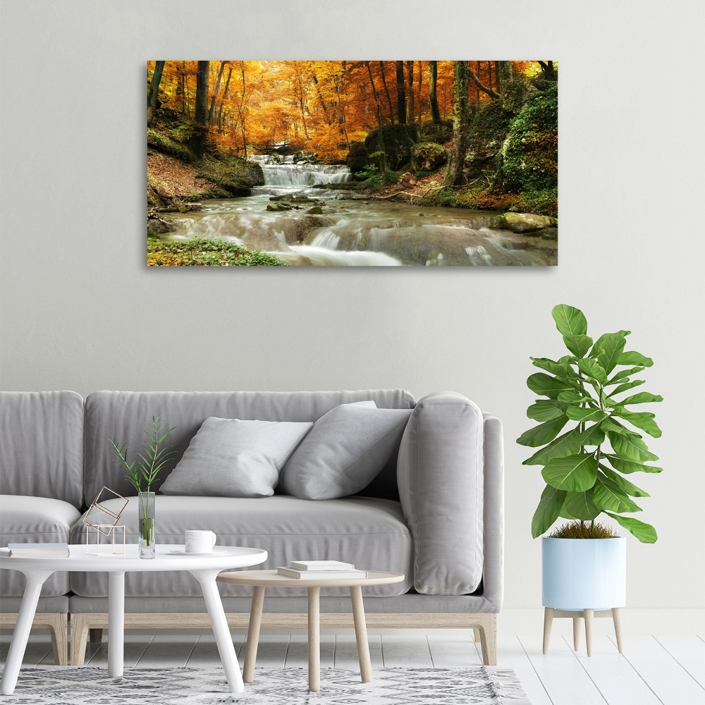 Tableau imprimé sur toile Cascade en forêt