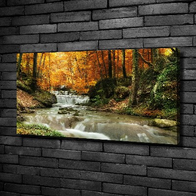 Tableau imprimé sur toile Cascade en forêt