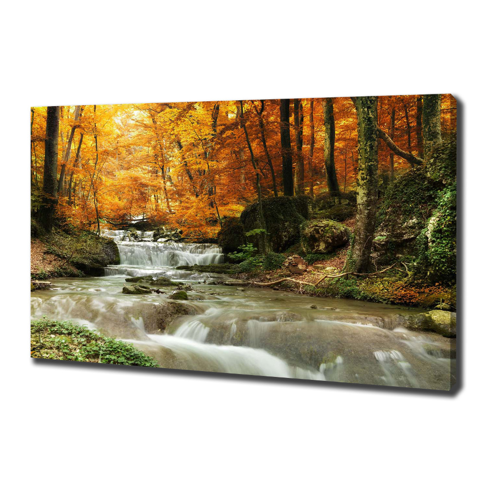 Tableau imprimé sur toile Cascade en forêt