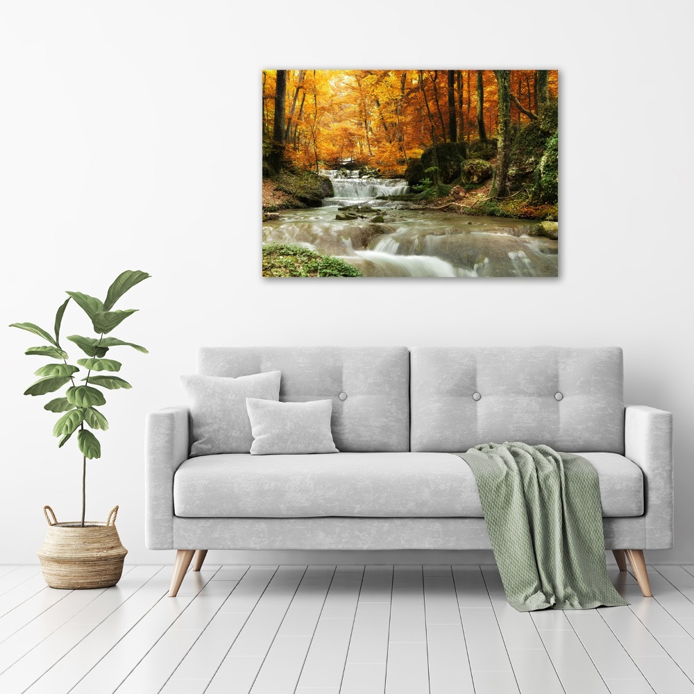 Tableau imprimé sur toile Cascade en forêt