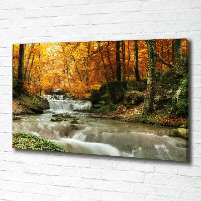 Tableau imprimé sur toile Cascade en forêt