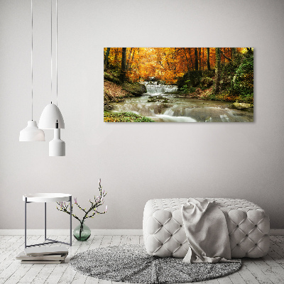 Tableau imprimé sur toile Cascade en forêt