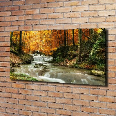 Tableau imprimé sur toile Cascade en forêt