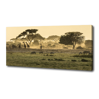 Tableau photo sur toile Girafes dans la savane