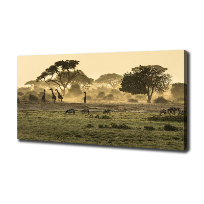 Tableau photo sur toile Girafes dans la savane