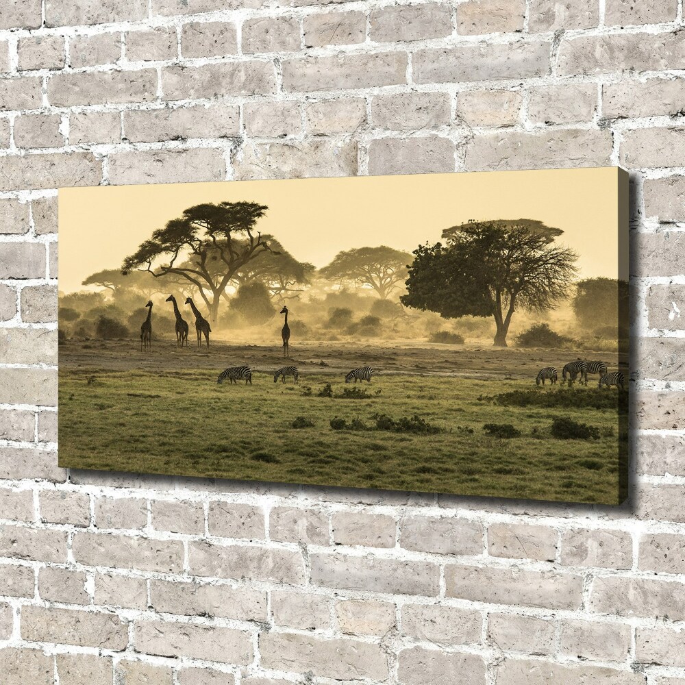 Tableau photo sur toile Girafes dans la savane