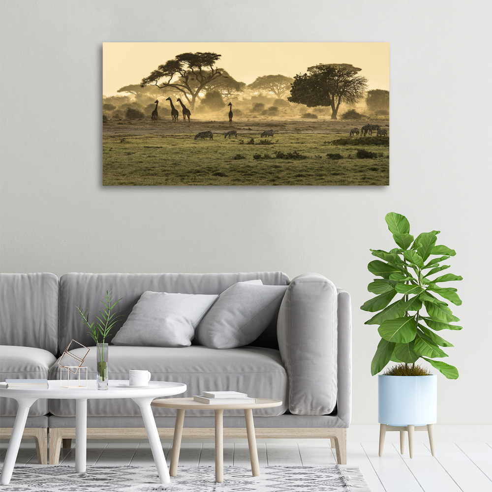 Tableau photo sur toile Girafes dans la savane