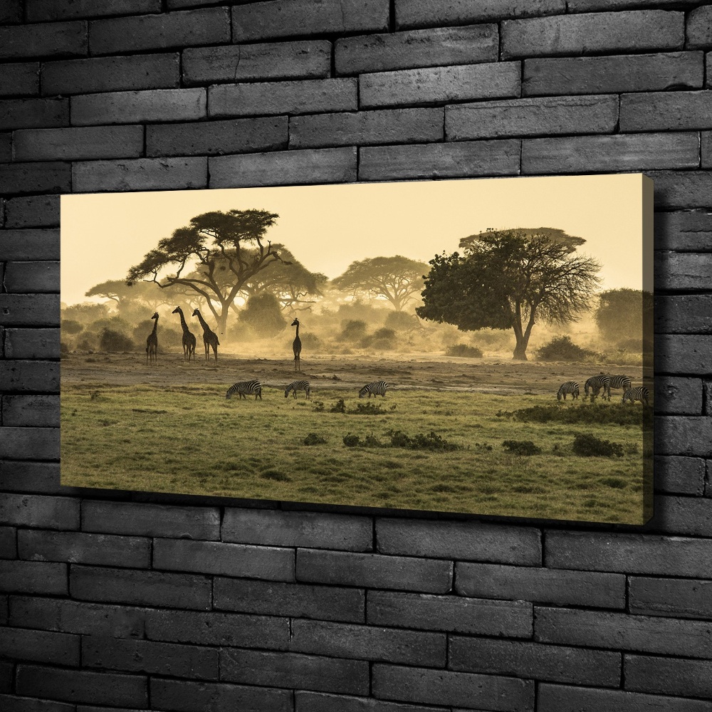 Tableau photo sur toile Girafes dans la savane