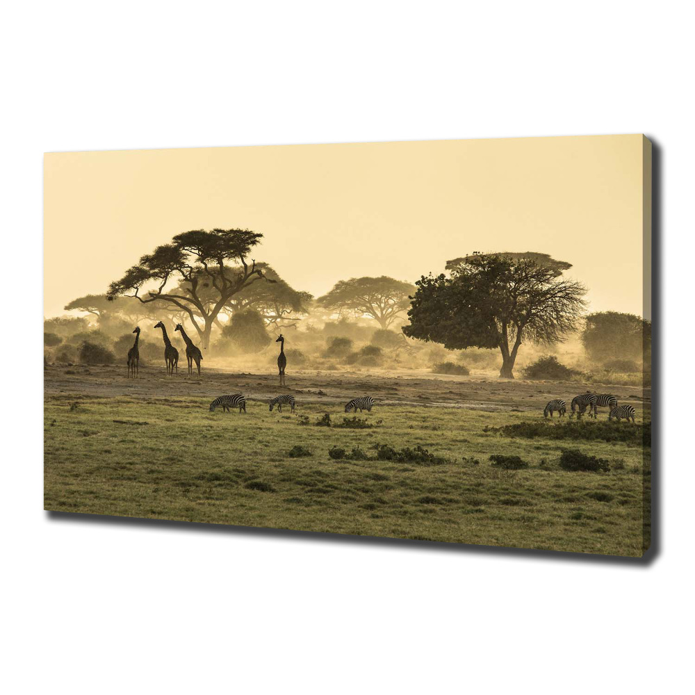 Tableau photo sur toile Girafes dans la savane