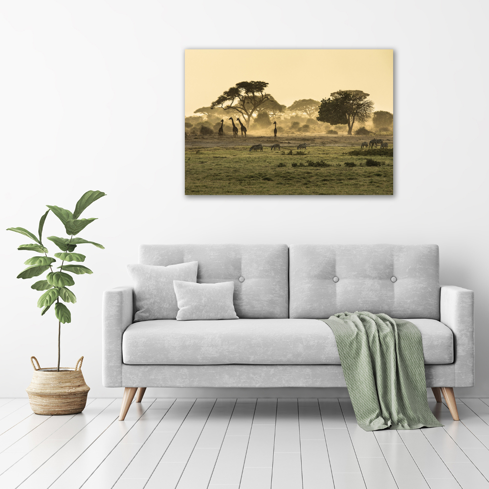 Tableau photo sur toile Girafes dans la savane