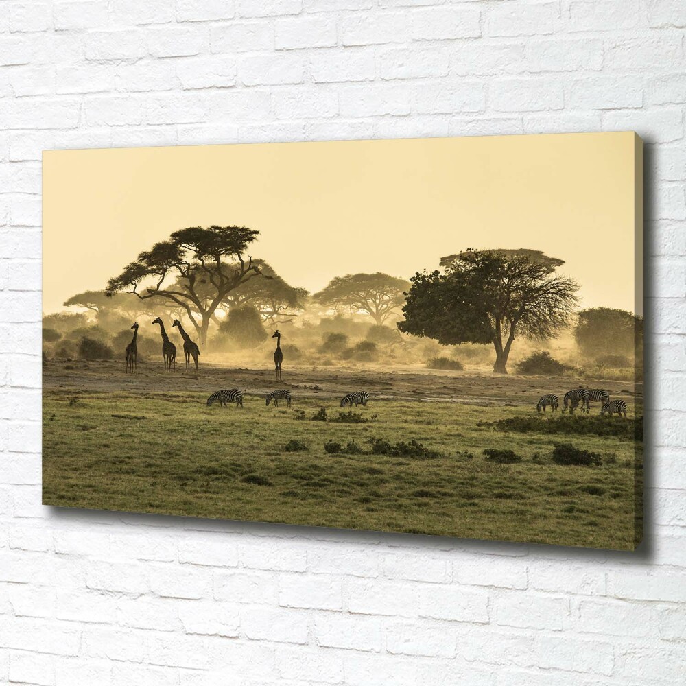 Tableau photo sur toile Girafes dans la savane