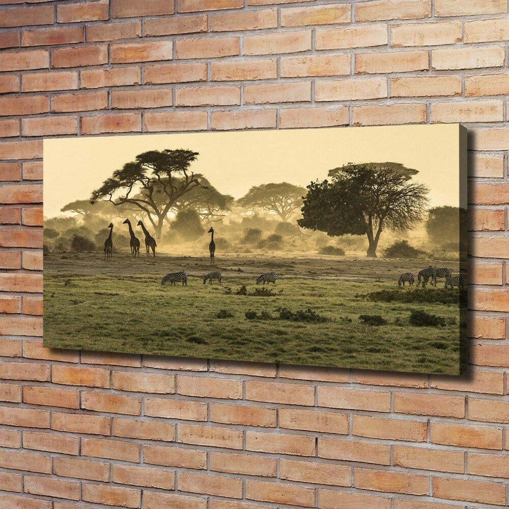 Tableau photo sur toile Girafes dans la savane