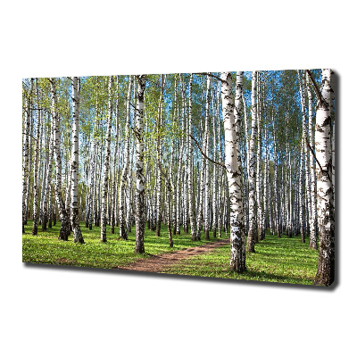 Tableau mural sur toile Forêt de bouleaux