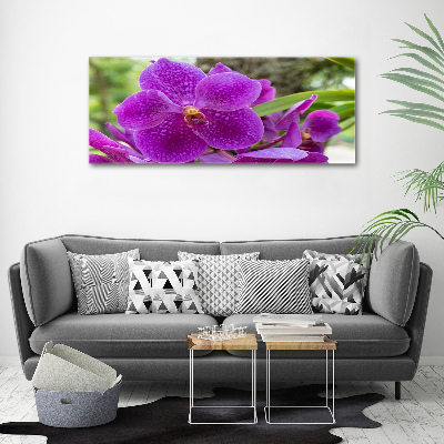 Tableau imprimé sur toile Fleur d'orchidée