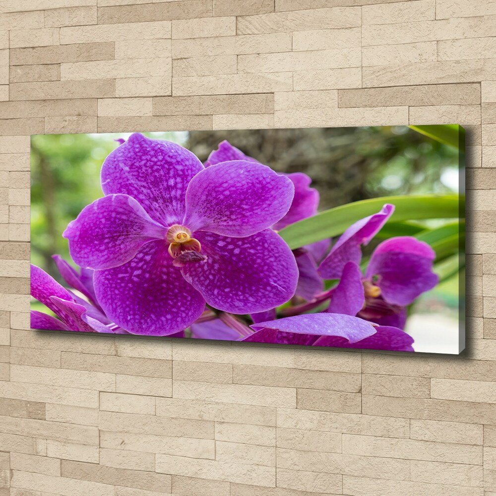 Tableau imprimé sur toile Fleur d'orchidée