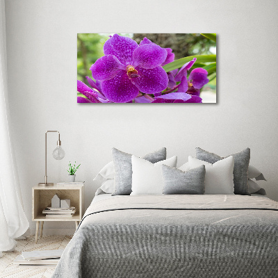 Tableau imprimé sur toile Fleur d'orchidée