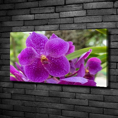 Tableau imprimé sur toile Fleur d'orchidée