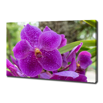 Tableau imprimé sur toile Fleur d'orchidée