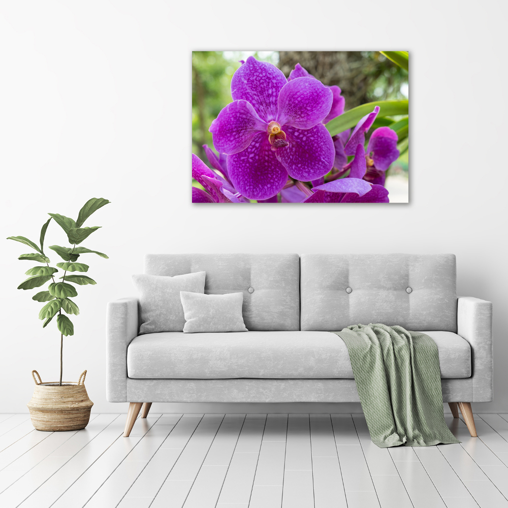 Tableau imprimé sur toile Fleur d'orchidée